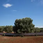 Lamia Petricore Σπίτι διακοπών Ostuni