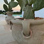 Lamia Petricore Σπίτι διακοπών *