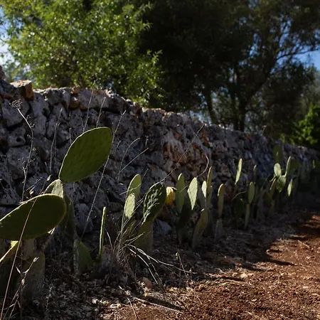 펜션 Lamia Petricore