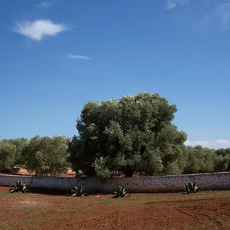 Lamia Petricore Σπίτι διακοπών Ostuni