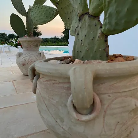 Lamia Petricore Casa vacanze *