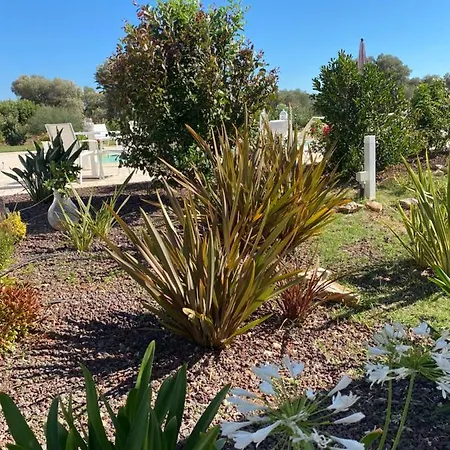 Lamia Petricore Ostuni