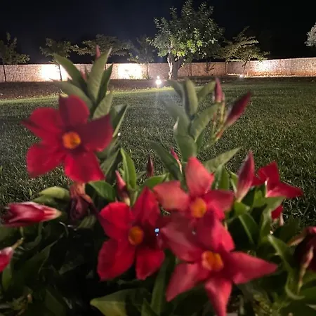 Lamia Petricore Holiday home Ostuni