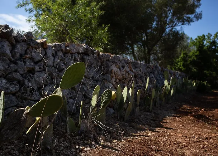 بيت للعطل Lamia Petricore