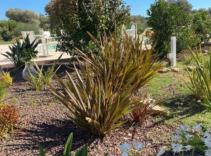 Lamia Petricore Ostuni