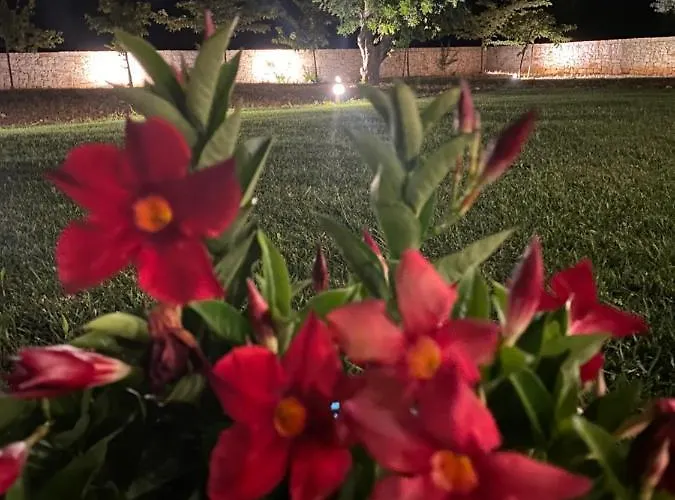 Lamia Petricore Tatil Evi Ostuni